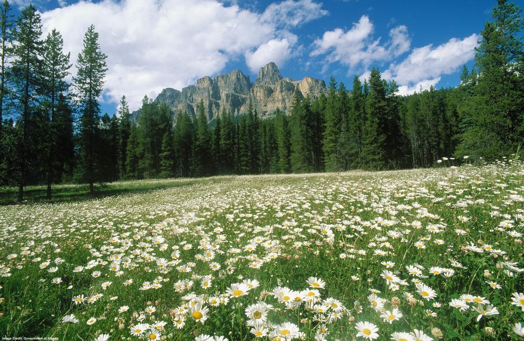 Hi Castle Mountain - Hostel Екстер'єр фото